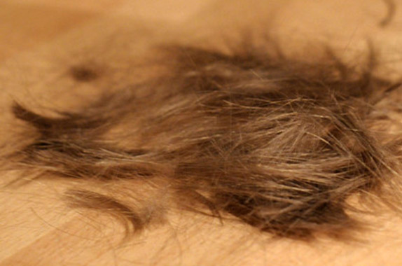 Hair for Time Capsule