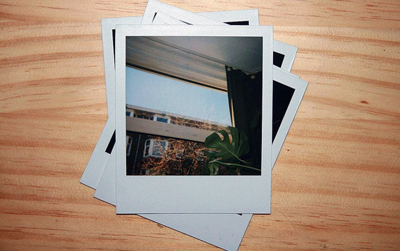 Polaroid Picture