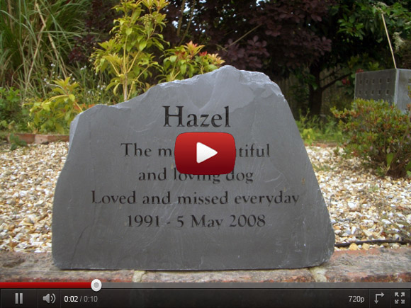 pet memorials on Youtube