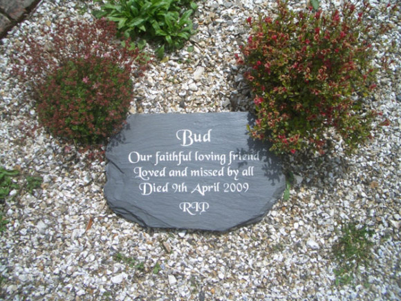 dog remembrance