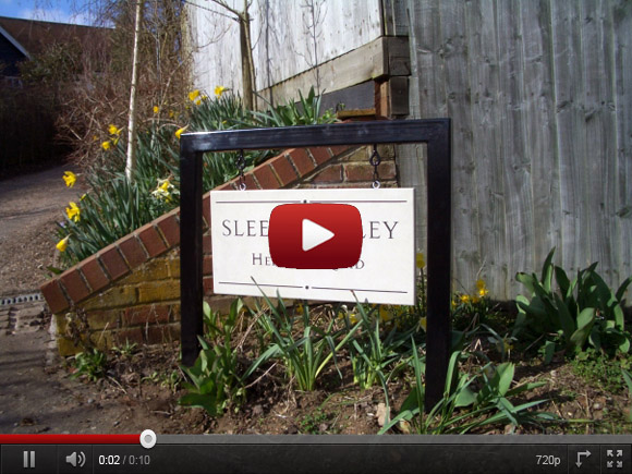 Hanging Signs on Youtube