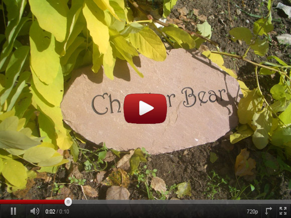 horse memorials on Youtube