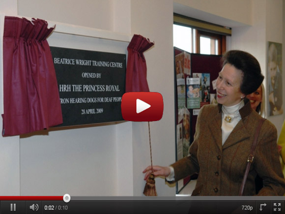opening plaques on youtube