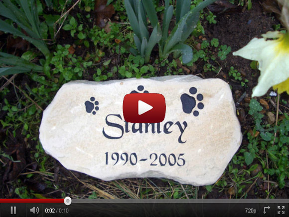 pet memorials on Youtube