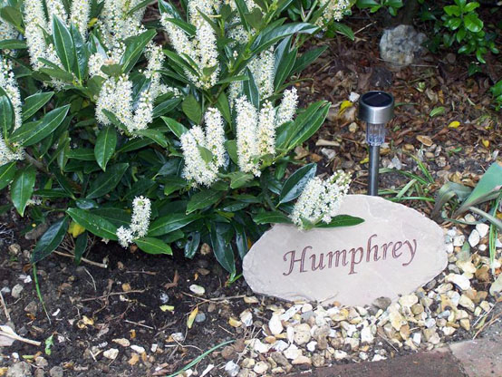 sandstone memorial plaque